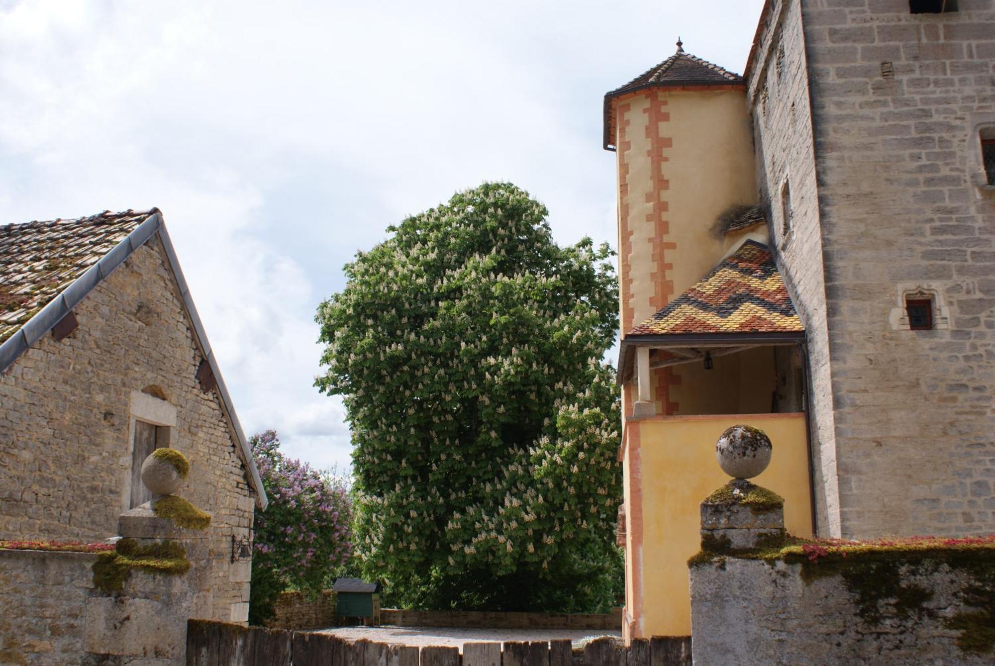 Chateau De Champrenault, Voyagez Dans Le Temps Exteriér fotografie